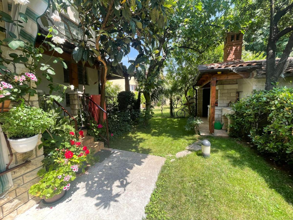 Apartman Palma *